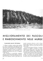 giornale/TO00194294/1942/unico/00000510