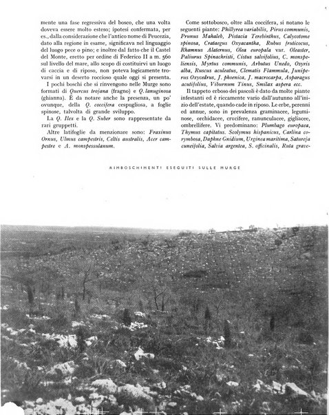 La rivista forestale italiana