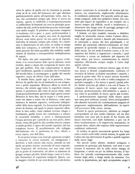 La rivista forestale italiana