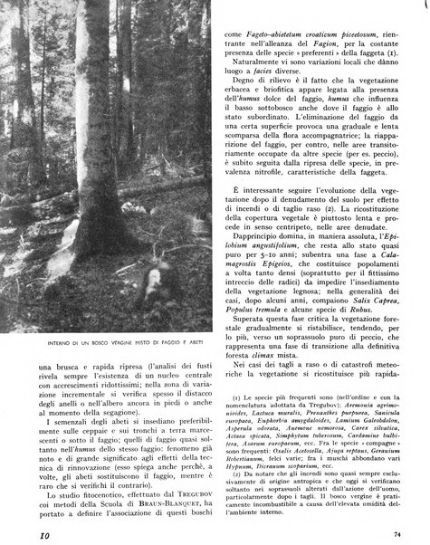 La rivista forestale italiana