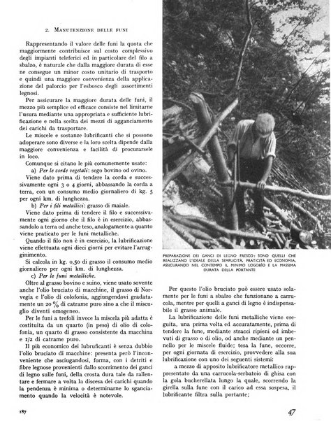 La rivista forestale italiana