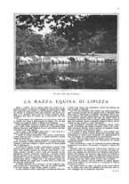 giornale/TO00194306/1923/unico/00000195