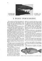 giornale/TO00194306/1928/v.2/00000516