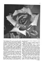giornale/TO00194306/1933/v.2/00000201