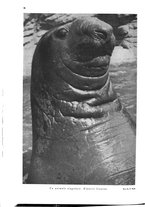 giornale/TO00194306/1933/v.2/00000310