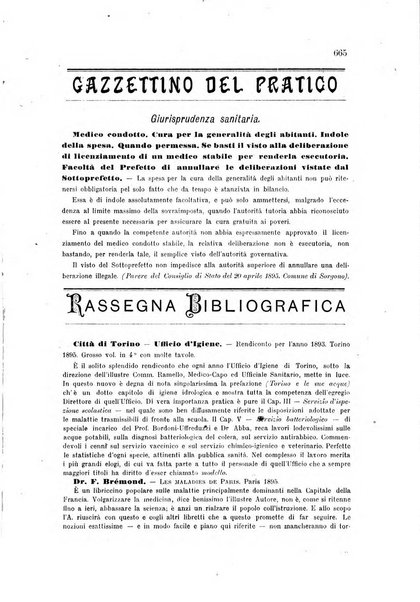 Rivista italiana di terapia e igiene giornale per i medici pratici