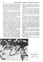 giornale/TO00194364/1939/unico/00000072