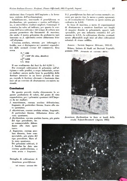 Rivista italiana essenze, profumi, piante officinali, olii vegetali, saponi organo di propaganda del gruppo produttori materie aromatiche della Federazione nazionale fascista degli industriali dei prodotti chimici