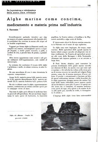 Rivista italiana essenze, profumi, piante officinali, olii vegetali, saponi organo di propaganda del gruppo produttori materie aromatiche della Federazione nazionale fascista degli industriali dei prodotti chimici