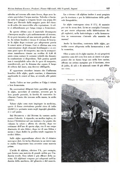 Rivista italiana essenze, profumi, piante officinali, olii vegetali, saponi organo di propaganda del gruppo produttori materie aromatiche della Federazione nazionale fascista degli industriali dei prodotti chimici