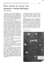 giornale/TO00194364/1939/unico/00000143