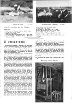 giornale/TO00194364/1939/unico/00000151