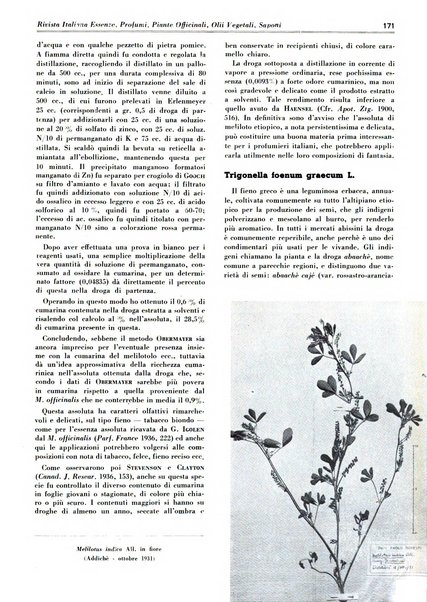 Rivista italiana essenze, profumi, piante officinali, olii vegetali, saponi organo di propaganda del gruppo produttori materie aromatiche della Federazione nazionale fascista degli industriali dei prodotti chimici