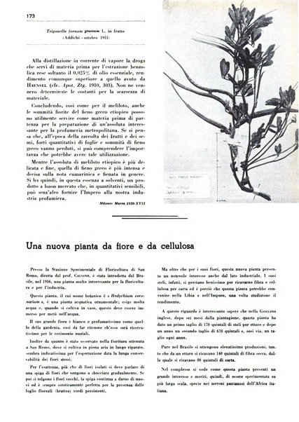 Rivista italiana essenze, profumi, piante officinali, olii vegetali, saponi organo di propaganda del gruppo produttori materie aromatiche della Federazione nazionale fascista degli industriali dei prodotti chimici