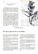 giornale/TO00194364/1939/unico/00000217