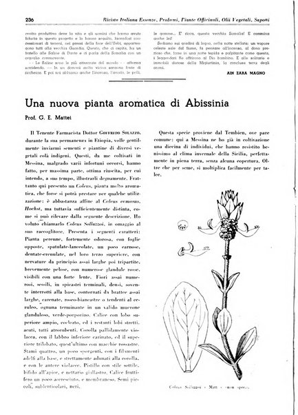 Rivista italiana essenze, profumi, piante officinali, olii vegetali, saponi organo di propaganda del gruppo produttori materie aromatiche della Federazione nazionale fascista degli industriali dei prodotti chimici