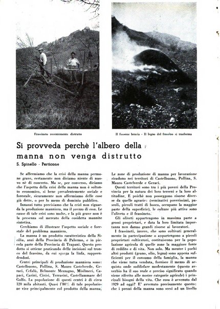 Rivista italiana essenze, profumi, piante officinali, olii vegetali, saponi organo di propaganda del gruppo produttori materie aromatiche della Federazione nazionale fascista degli industriali dei prodotti chimici