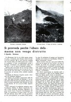 giornale/TO00194364/1939/unico/00000476