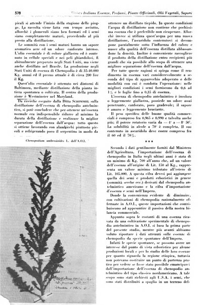 Rivista italiana essenze, profumi, piante officinali, olii vegetali, saponi organo di propaganda del gruppo produttori materie aromatiche della Federazione nazionale fascista degli industriali dei prodotti chimici