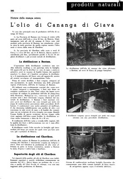 Rivista italiana essenze, profumi, piante officinali, olii vegetali, saponi organo di propaganda del gruppo produttori materie aromatiche della Federazione nazionale fascista degli industriali dei prodotti chimici