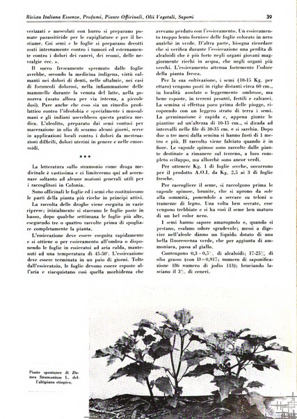 Rivista italiana essenze, profumi, piante officinali, olii vegetali, saponi organo di propaganda del gruppo produttori materie aromatiche della Federazione nazionale fascista degli industriali dei prodotti chimici