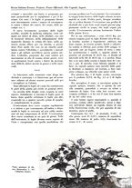 giornale/TO00194364/1940/unico/00000055