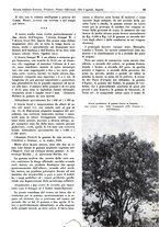 giornale/TO00194364/1940/unico/00000123