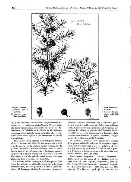 Rivista italiana essenze, profumi, piante officinali, olii vegetali, saponi organo di propaganda del gruppo produttori materie aromatiche della Federazione nazionale fascista degli industriali dei prodotti chimici