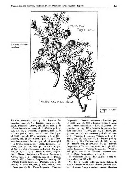 Rivista italiana essenze, profumi, piante officinali, olii vegetali, saponi organo di propaganda del gruppo produttori materie aromatiche della Federazione nazionale fascista degli industriali dei prodotti chimici