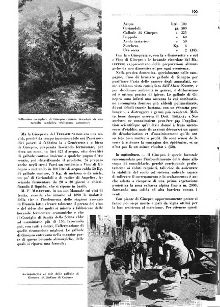 Rivista italiana essenze, profumi, piante officinali, olii vegetali, saponi organo di propaganda del gruppo produttori materie aromatiche della Federazione nazionale fascista degli industriali dei prodotti chimici