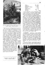 giornale/TO00194364/1940/unico/00000242