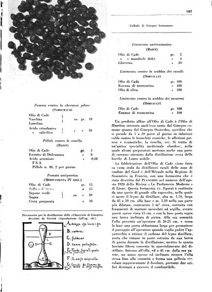 Rivista italiana essenze, profumi, piante officinali, olii vegetali, saponi organo di propaganda del gruppo produttori materie aromatiche della Federazione nazionale fascista degli industriali dei prodotti chimici