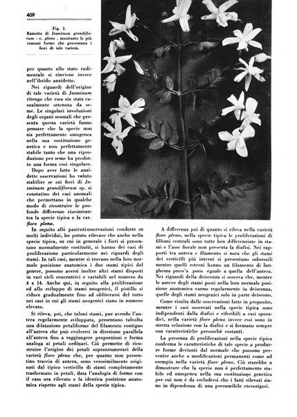 Rivista italiana essenze, profumi, piante officinali, olii vegetali, saponi organo di propaganda del gruppo produttori materie aromatiche della Federazione nazionale fascista degli industriali dei prodotti chimici