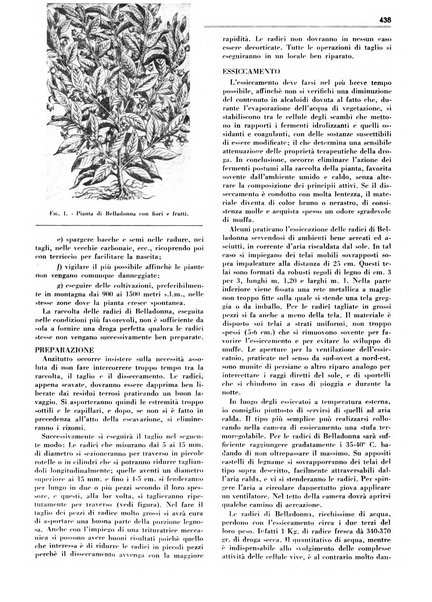 Rivista italiana essenze, profumi, piante officinali, olii vegetali, saponi organo di propaganda del gruppo produttori materie aromatiche della Federazione nazionale fascista degli industriali dei prodotti chimici