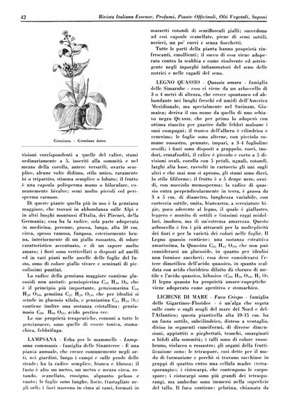 Rivista italiana essenze, profumi, piante officinali, olii vegetali, saponi organo di propaganda del gruppo produttori materie aromatiche della Federazione nazionale fascista degli industriali dei prodotti chimici