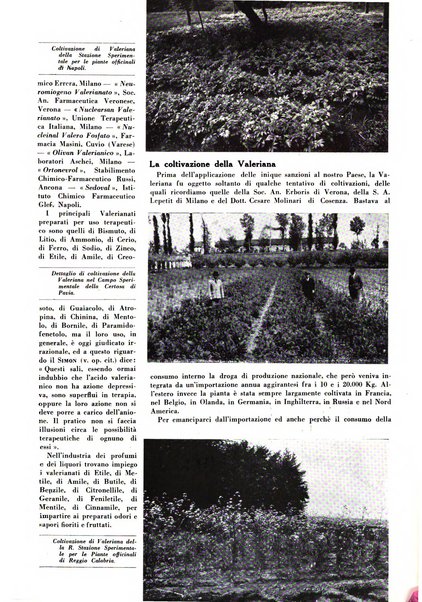 Rivista italiana essenze, profumi, piante officinali, olii vegetali, saponi organo di propaganda del gruppo produttori materie aromatiche della Federazione nazionale fascista degli industriali dei prodotti chimici