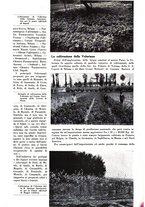 giornale/TO00194364/1942/unico/00000131