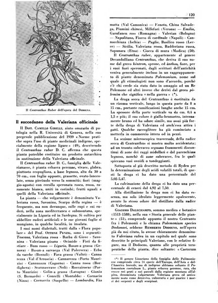 Rivista italiana essenze, profumi, piante officinali, olii vegetali, saponi organo di propaganda del gruppo produttori materie aromatiche della Federazione nazionale fascista degli industriali dei prodotti chimici