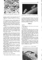 giornale/TO00194364/1942/unico/00000152