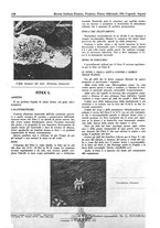 giornale/TO00194364/1942/unico/00000156