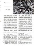 giornale/TO00194364/1943/unico/00000261