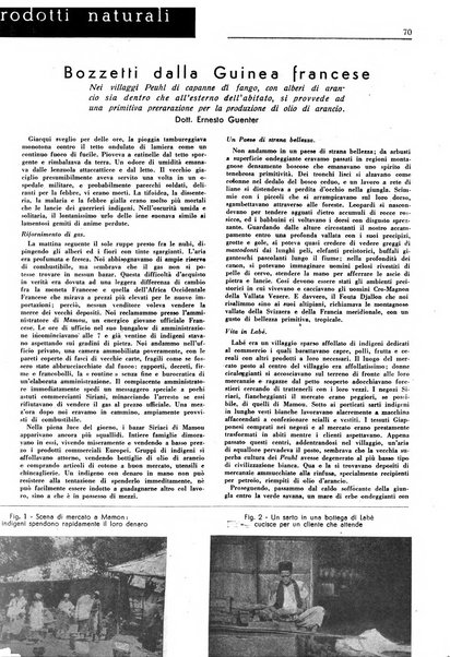 Rivista italiana essenze, profumi, piante officinali, olii vegetali, saponi organo di propaganda del gruppo produttori materie aromatiche della Federazione nazionale fascista degli industriali dei prodotti chimici