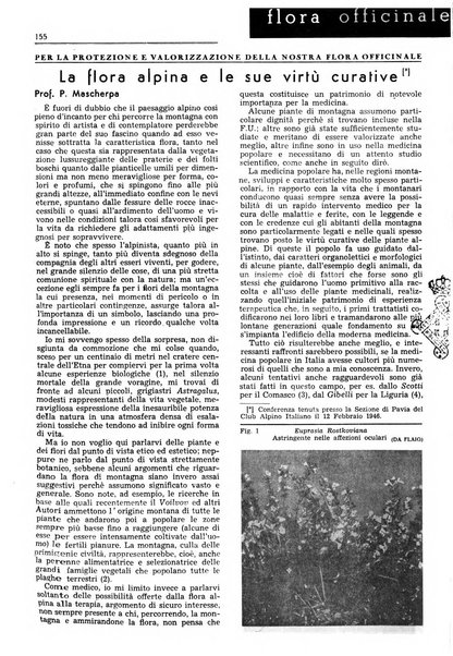 Rivista italiana essenze, profumi, piante officinali, olii vegetali, saponi organo di propaganda del gruppo produttori materie aromatiche della Federazione nazionale fascista degli industriali dei prodotti chimici