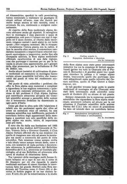 Rivista italiana essenze, profumi, piante officinali, olii vegetali, saponi organo di propaganda del gruppo produttori materie aromatiche della Federazione nazionale fascista degli industriali dei prodotti chimici