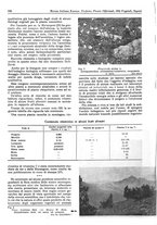 giornale/TO00194364/1946/unico/00000276