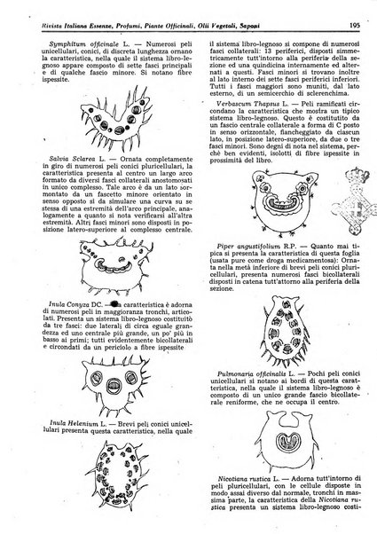 Rivista italiana essenze, profumi, piante officinali, olii vegetali, saponi organo di propaganda del gruppo produttori materie aromatiche della Federazione nazionale fascista degli industriali dei prodotti chimici