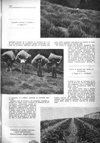 giornale/TO00194364/1946/unico/00000613