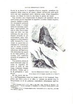giornale/TO00194382/1897/unico/00000139