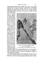 giornale/TO00194382/1899/unico/00000195