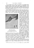 giornale/TO00194382/1899/unico/00000274